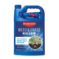 Bioadvanced Weed and Grass Killer RTU Liquid 1 gal 704198A